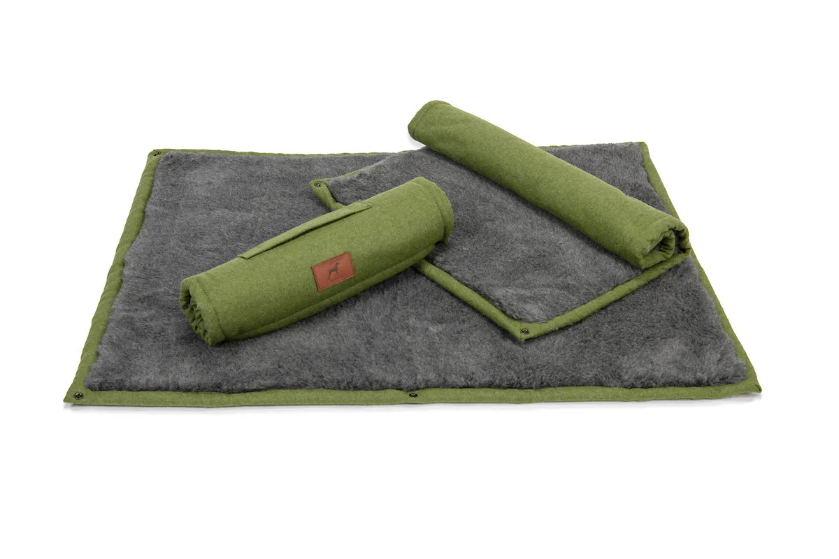 Apple Green Dog Roll Mat