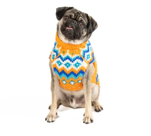 Artic Amber Sweater for Dogs