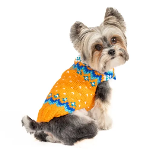 Artic Amber Sweater for Dogs