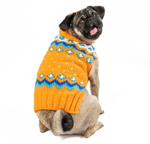 Artic Amber Sweater for Dogs