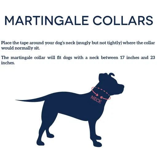 Blue 'Super Pibble' Collar - Pittie Clothing Co.