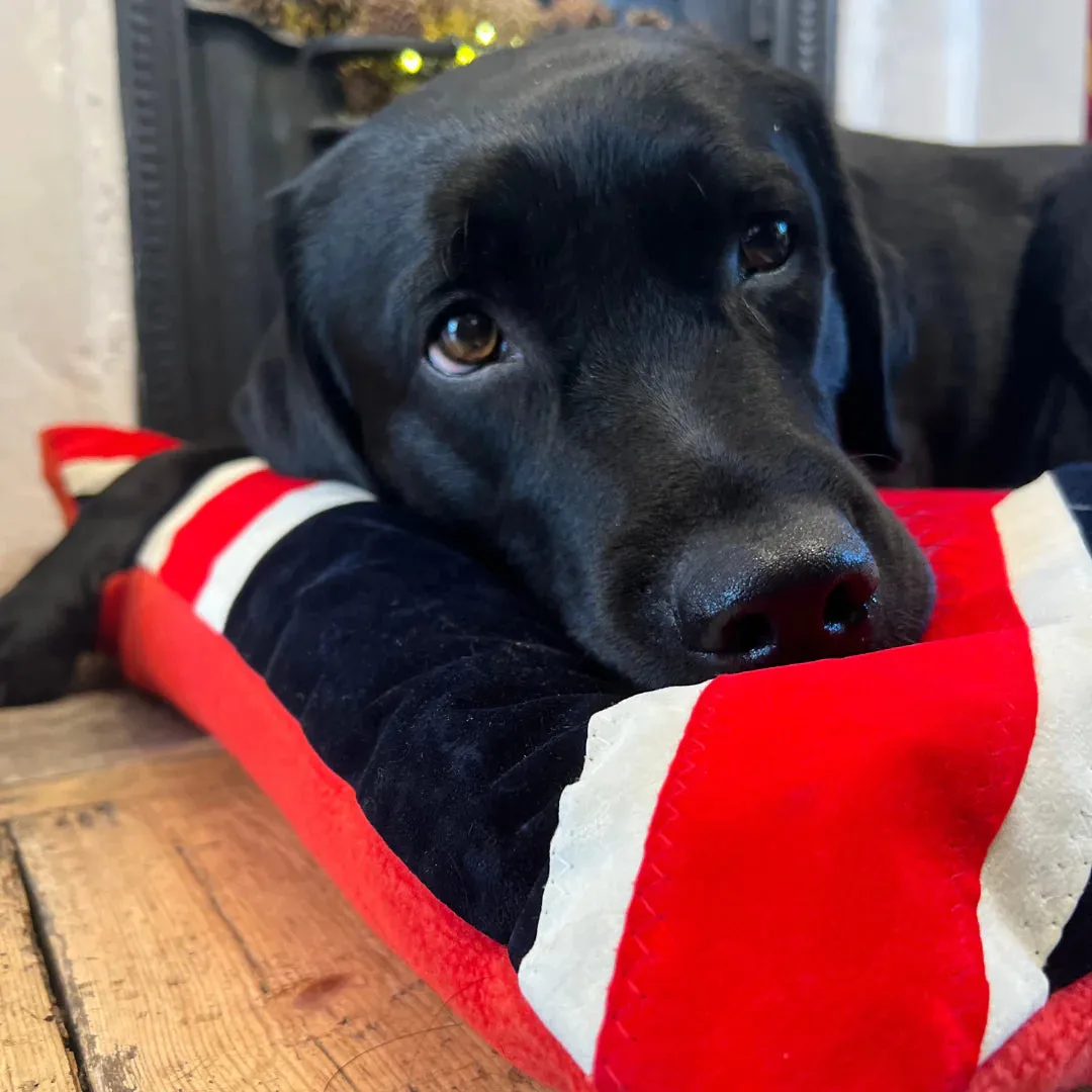 Creature Clothes Union Jack Dog Doza Bed