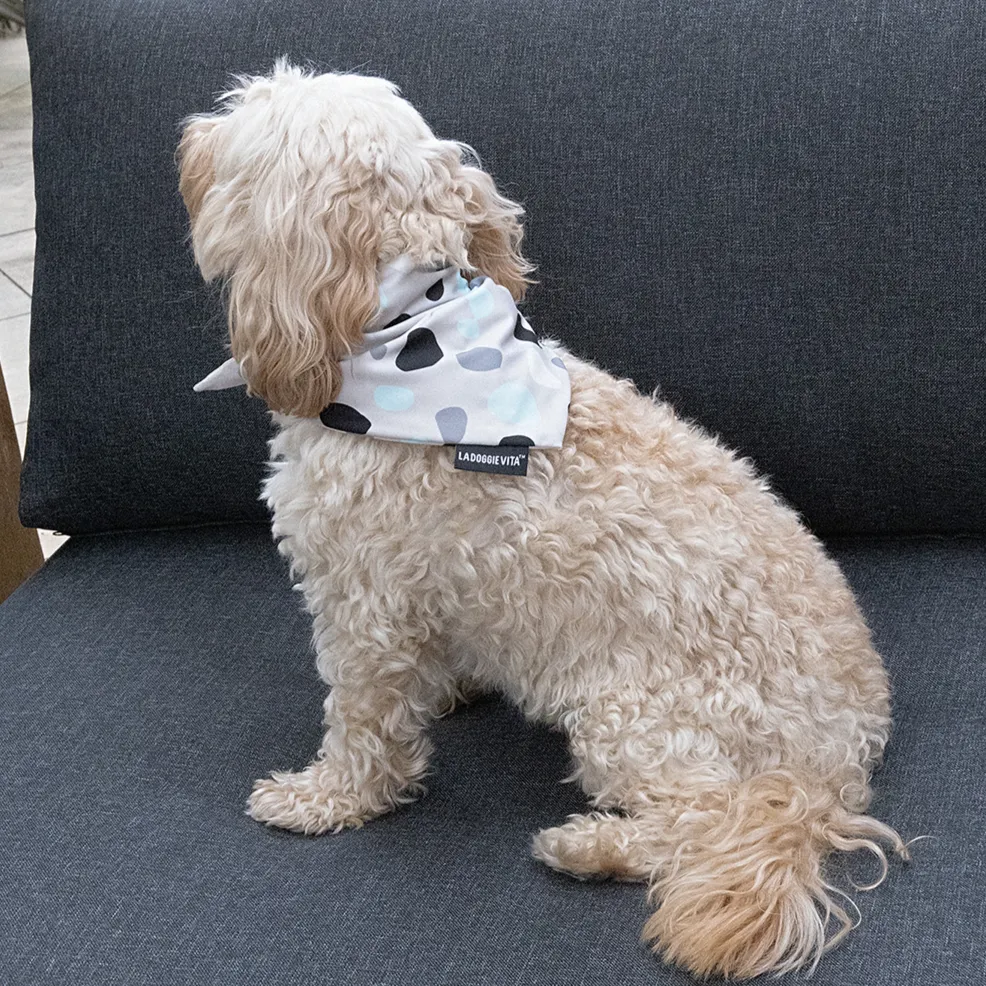 Leo Spot Taupe Bandana