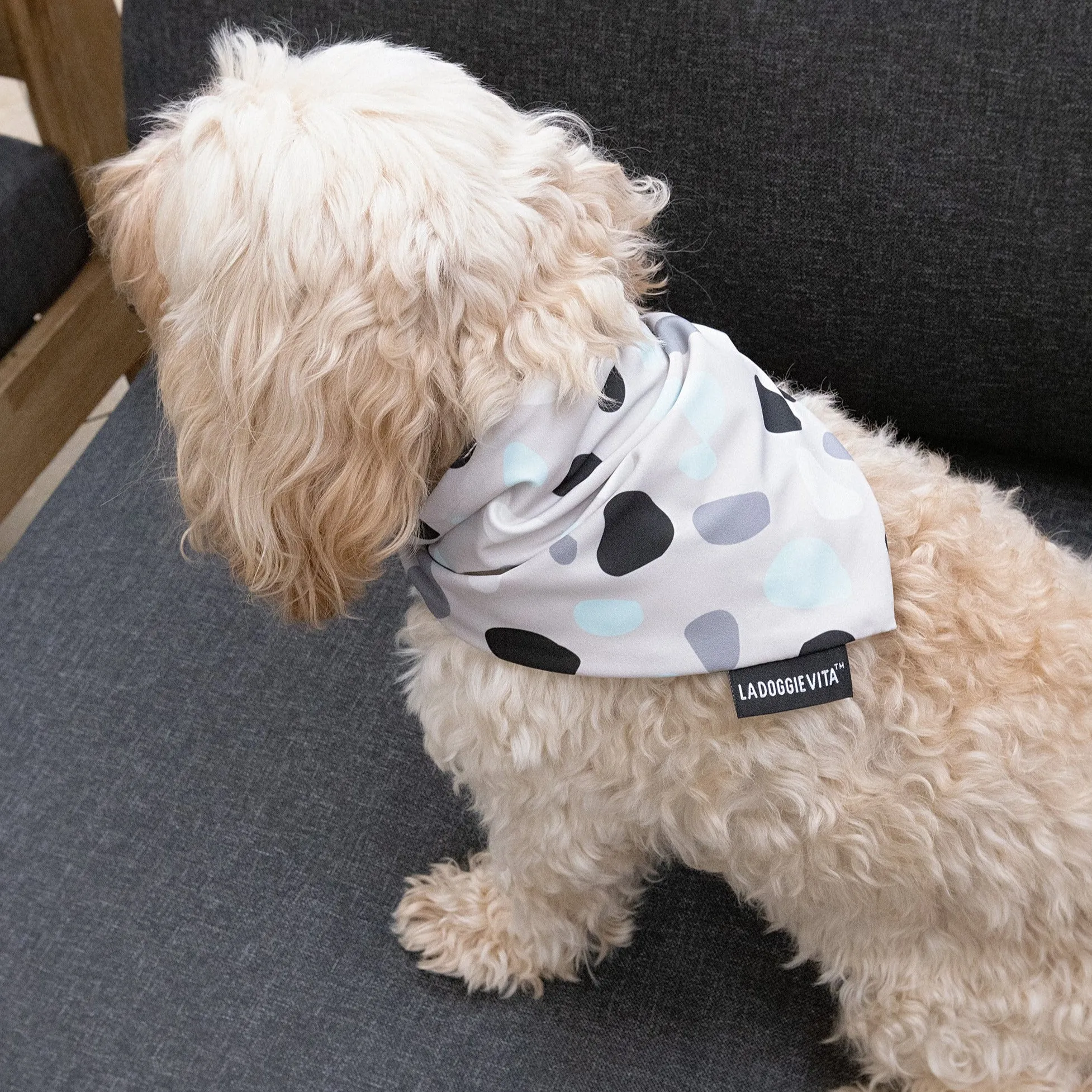 Leo Spot Taupe Bandana