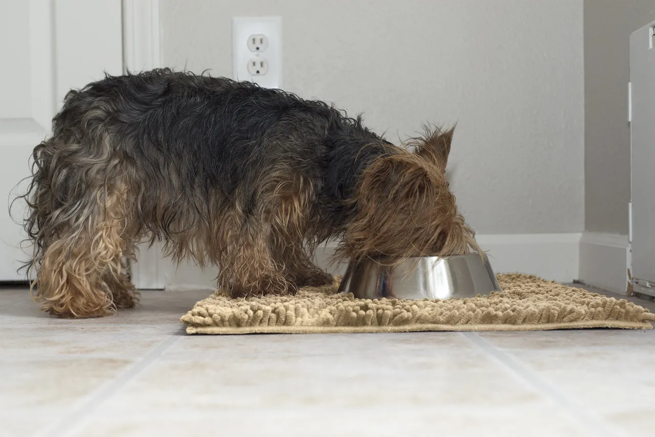 Ultra Absorbent Muddy Paws Pet Towel & Shammy Dog Rug